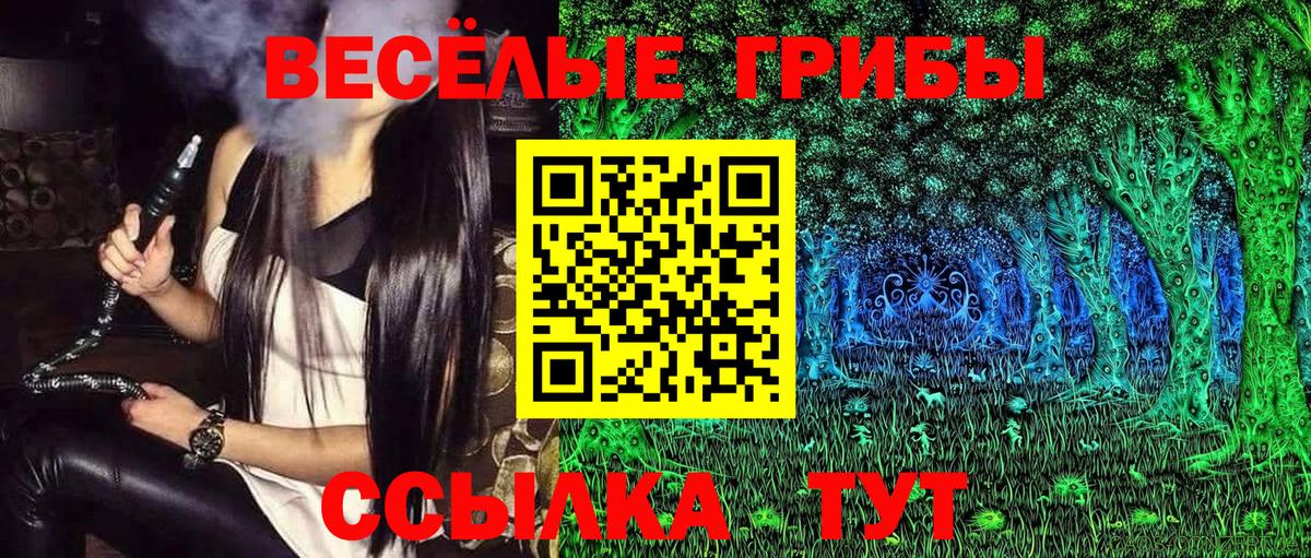 Псилоцибиновые грибы MAGIC MUSHROOMS  Вход с VPN  Екатеринбург  Псилоцибиновые грибы мицелий 