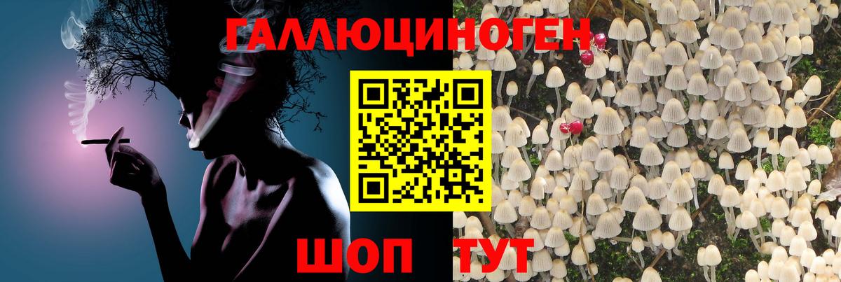 Галлюциногенные грибы мухоморы Екатеринбург